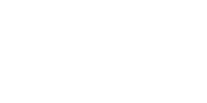 Alarmax Distributors, Inc.