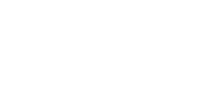 Safeware Inc.